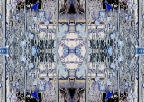 Aurora Melinte // Portal