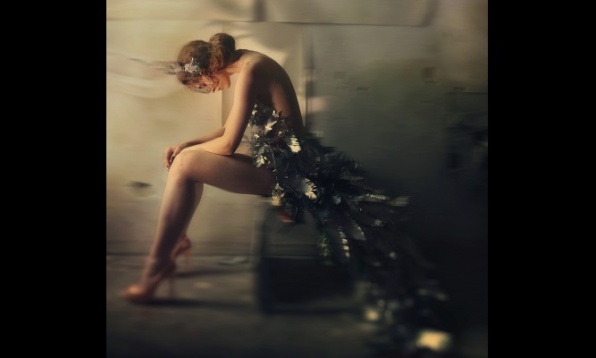 Laura Smarandache // Ironic Feathers