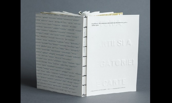 Andreea Mihaiu // Arhitectura cărţii