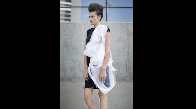 Anca Pancu // Symbiosis