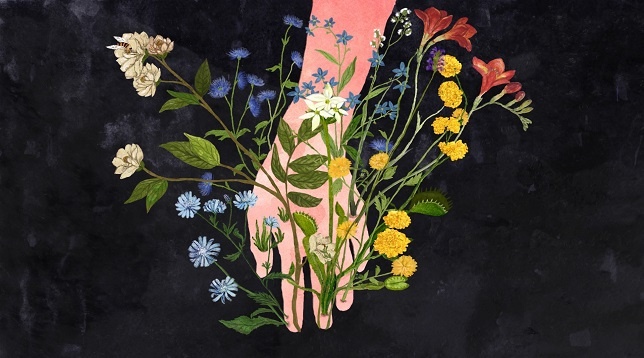 Luminița Dumitrache // The Garden
