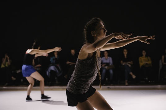Performance-ul Aftertaste la MNAC
