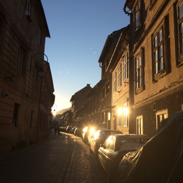 Scrisori de la Brașov // Ami Lungu: Portretul micului Zurich