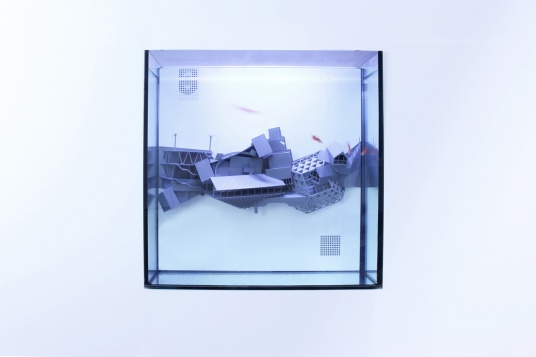 NOVUM