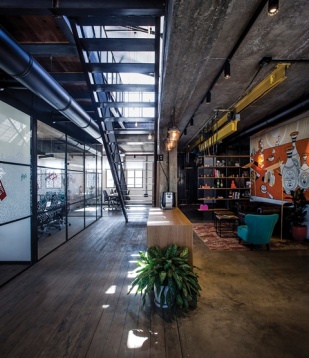 ROY DAVID STUDIO