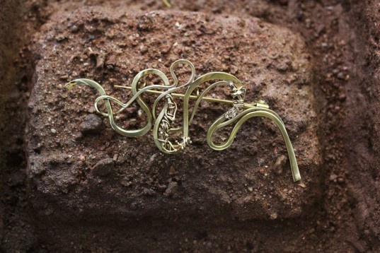 Alice Protopopescu // Morfologie organică