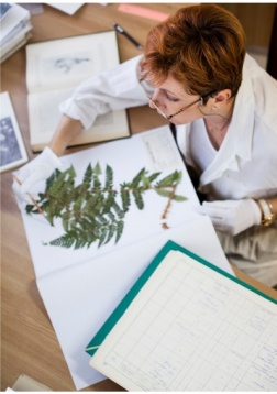Raluca Mărgescu // Man at work 