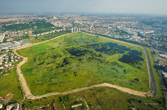 O viziune pentru dezvoltarea parcului natural Văcărești 
