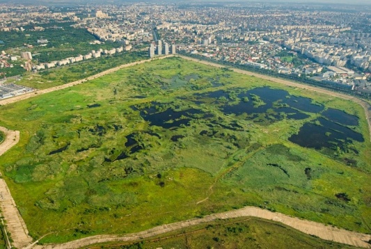 Finaliștii URBANIADA II