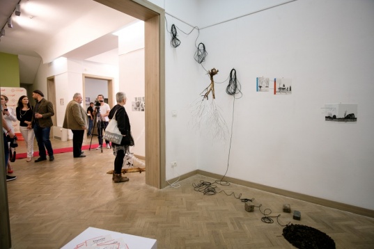 Program RDW//24 mai