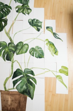 SILVIANA STINGHIE // PORTRETE BOTANICE