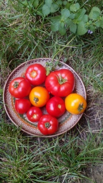 Pe harta Cartierului Creativ // Băcănia Earth Food