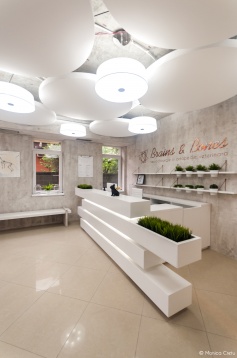 IDEASTEZIA STUDIO