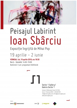GALERIA SECTOR 1 // EXPOZIȚIE PERSONALĂ IOAN SBÂRCIU - PEISAJUL LABIRINT 