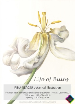IRINA NEACȘU // MASTERCLASS DE ILUSTRAȚIE BOTANICĂ 