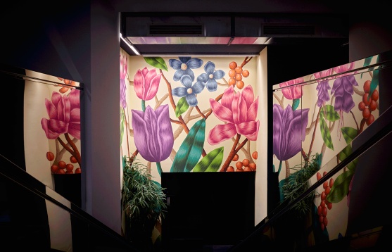SPECIAL CREATIVE BOARD: FRANCESCO CAVALLI