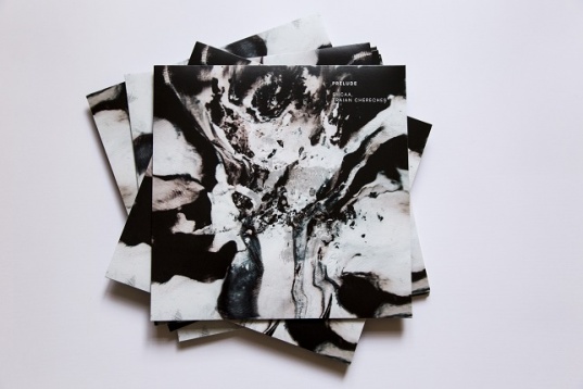 ALICE VOINEA // LEXICON POSIBIL