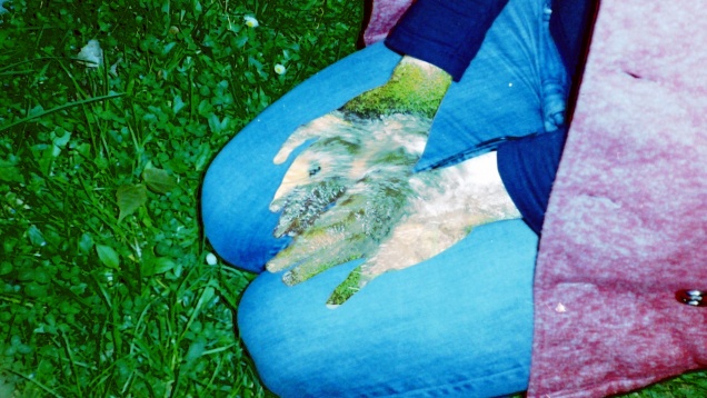 MĂDĂLINA GÂRBEA // JOURNAL OF THE IMAGERY THOUGHTS