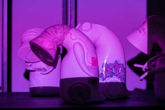 4321 START // YOUNG CREATIVES SHARING THEIR EXPERIENCE @DIPLOMA: ANCA VINTILĂ DRAGU