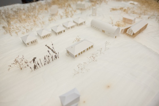 4321 START // YOUNG CREATIVES SHARING THEIR EXPERIENCE @DIPLOMA: ANDREEA IOANA NICUŢ