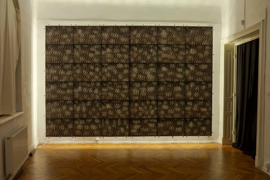 ARTEMISA PASCU