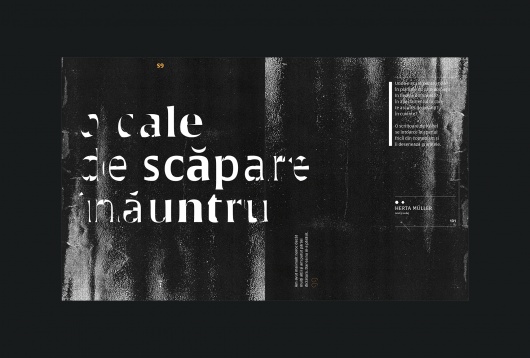 RADU MANELICI