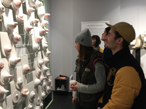 GALERIA CONTEMP // SIGN INSIDE 