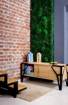 DZNR DESIGN STUDIO