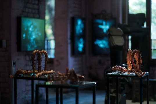 Faceţi cunoştinţă cu următoarea generaţie de artişti la DIPLOMA 2019