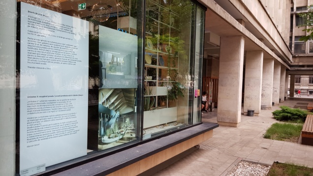Expoziția capsulă Școala: fast forward, un demers DIPLOMA, poate fi văzută în vitrina Modul Cărturești