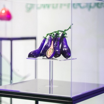 Romanian Design Week 2020 reunește sub umbrela DESIGN FLAGS șapte expoziții capsulă de design internațional