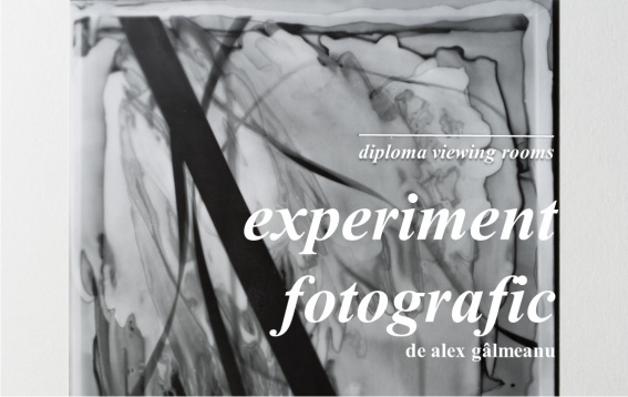 DIPLOMA Viewing Rooms // Experiment fotografic, o colecție de artă fotografică îngrijită de Alex Gâlmeanu