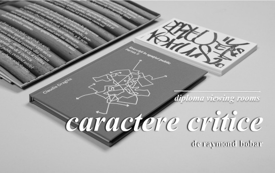 DIPLOMA Viewing Rooms a conturat în perioada 21 iulie – 25 august o platformă de expoziții online de artă, arhitectură și design 
