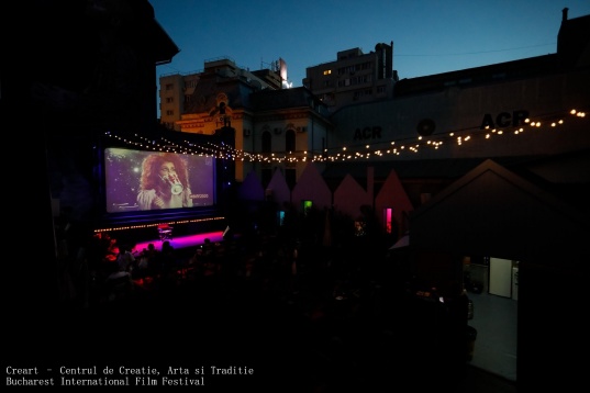 Bucharest International Film Festival, ediția a 17-a