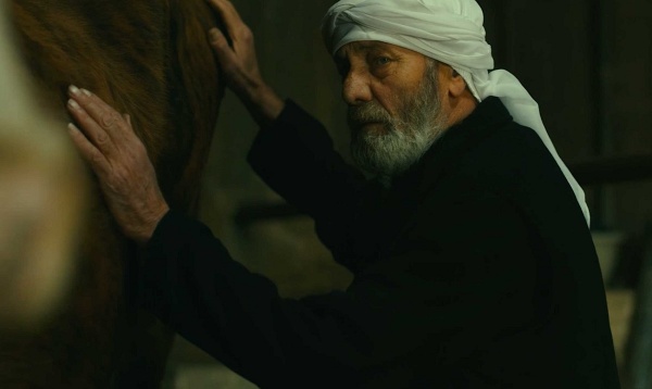 Filme de la Veneţia, în programul ediţiei a patra a Festivalului Filmului Palestinian