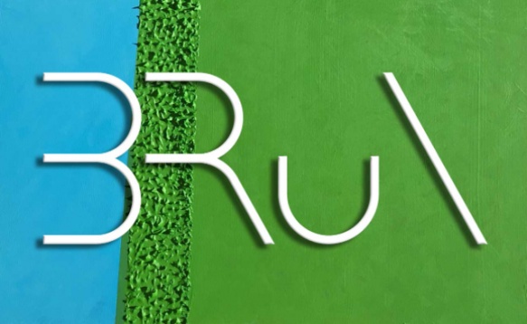 BRuN - o platformă online concepută pentru a facilita accesul la artă