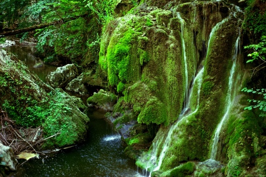 Colegi de lume: De la inteligența apei din Cheile Nerei, la o „Insulă de Apă Vie” pentru familii în inima Timișoarei, între 29-31 octombrie 2025