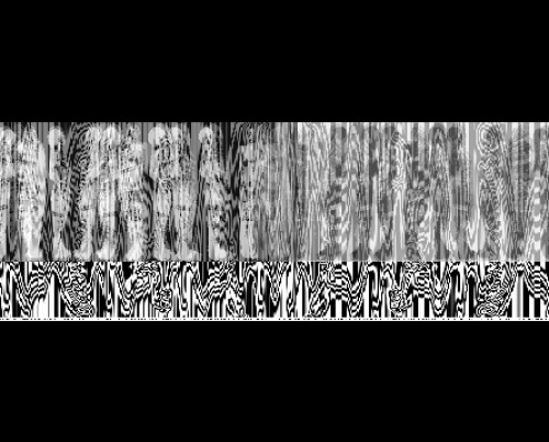 Roxana Bloju // 12 Lei 30
