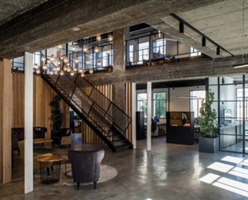 ROY DAVID STUDIO