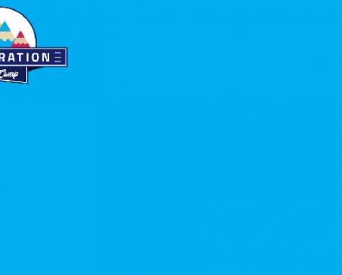 Artivist lansează "Illustration Boot Camp"