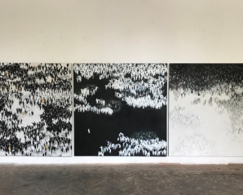 MIRCEA CONSTANTINESCU // ANTS
