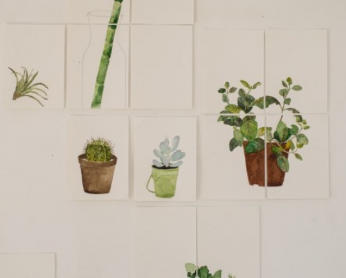SILVIANA STINGHIE // PORTRETE BOTANICE