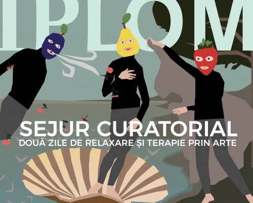 Weekend curatorial la Diploma