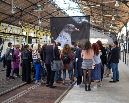 Bienala Art Encounters 2019 a ajuns la final – experiența celei de-a treia ediții