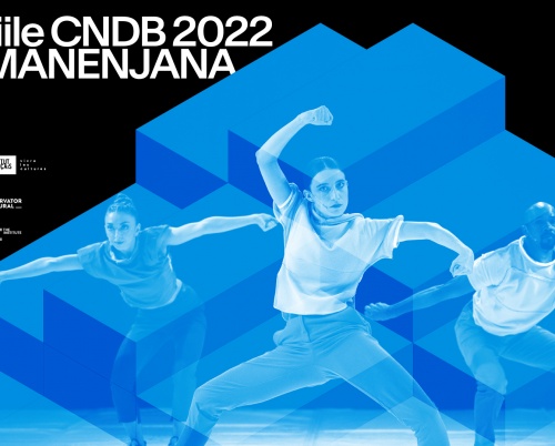 Gala Premiilor CNDB
