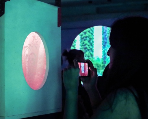 Expoziția „Comunitate și sustenabilitate” – eveniment CSWeek la MȚR